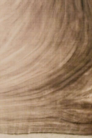 Cross section of a tree trunk and stump. realistic wood texture created with symbol character....