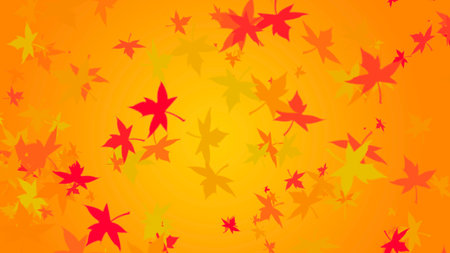 Autumn maple leaves background, vector illustration. Orange and yellow colors.の写真素材