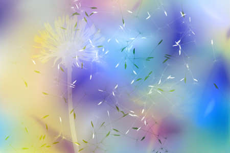 A white silhouette of a dandelion over a positive background of smooth color changes and flying seedsの写真素材