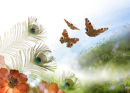 Atmospheric composition of a scene with flowers, peacock feathers and peacock butterflies from different angles, to give it a vibrant lookの写真素材