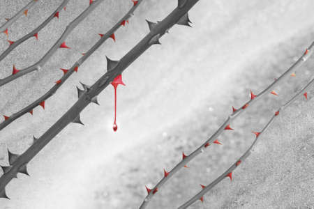 Grey scale rose lines with red thorns over a marble background. The color of one rose stem has faded, and shows a last, acrylic colored thorn, with a falling drop.    の写真素材