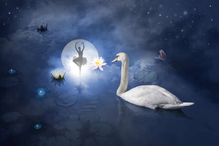 Atmospheric ballerina scene, posing at a water surface with a composition of a full moon behind a night sky, candle lights, sea roses and a swan, looking at her                               の写真素材