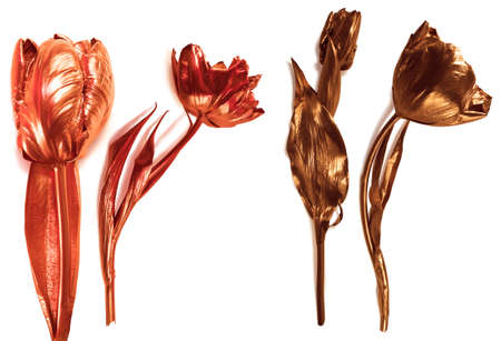 gilded, real tulips, studio photographed, also with red light on the shiny gold, isolated on white, comes with clipping pathsの写真素材
