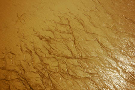 starfish fossil imprint at a seashore with water trails in the sand
