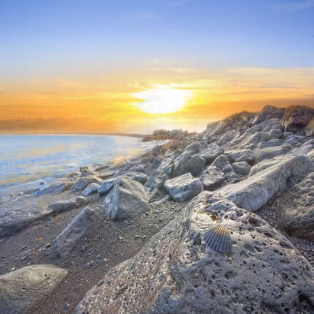 volcanic seashore dawn with wet basalt stones, reflecting the surrounding color and a black seashell in hdrの写真素材