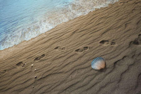 shoeprints nearby a seashore and a seashell gradually changing into blue colorの写真素材