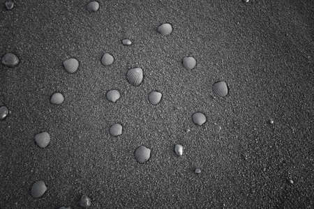 volcanic basalt sand with sunken in seashells, with painted black color on them, forming a spiralの写真素材
