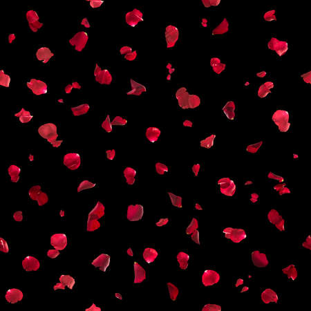 repeatable, floating red rose petals, studio photographed and isolated on blackの写真素材