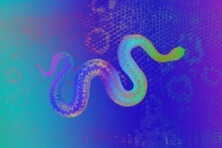 rainbow colored snake, winding over a snakeskin texture, studio photographed, clipping path includedの写真素材
