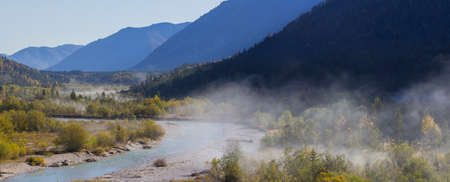 Foggy trees at the river in the Isar Valley, at Vorderriss with parts of the Pfetter Kopf, the hazy...