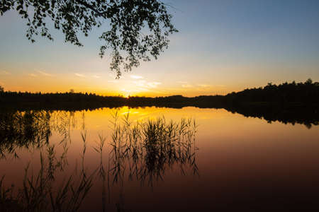 Schoenramer Filz Pond silhouettes with reed and a birch branch at sunset, Upper Bavaria, South Germanyの写真素材