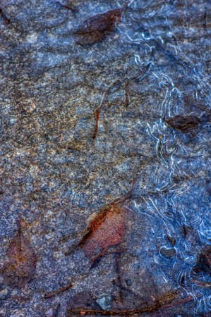 Frozen water flow between autumn leaves on stoneの写真素材