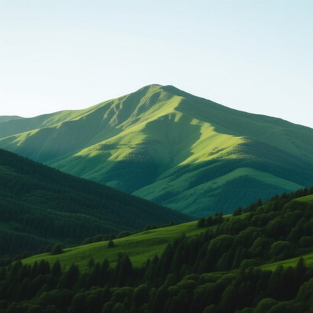 mountain range in the morning light, Carpathians, Ukraineの素材