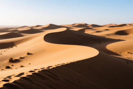 the empty quarter and outdoor sand dune in oman old desert rub al khaliの写真素材
