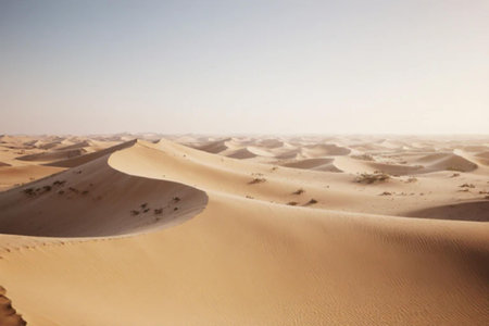 the empty quarter and outdoor sand dune in oman old desert rub al khaliの写真素材