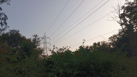 High-voltage power lines in the forest. Electricity distribution.