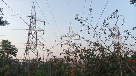 Electricity pylons and trees in the countryside of Thailand.