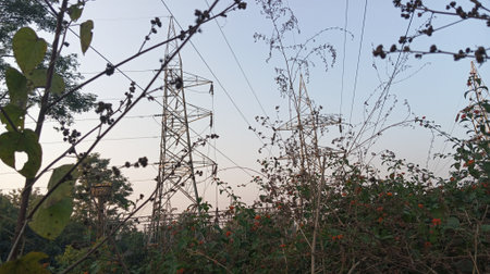 Electricity pylons and power lines in the countryside of Thailand.