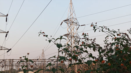 High voltage power line with red flowers on the field in the evening