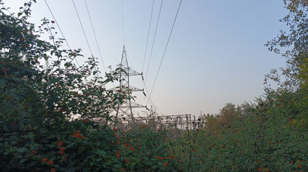 High voltage power lines and pylons in a rural area.の写真素材