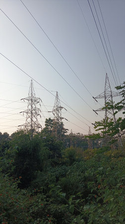 High-voltage power lines in the forest. Electricity distribution station.