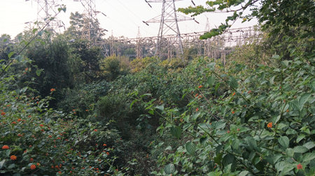 High-voltage power lines in the countryside. Landscape.