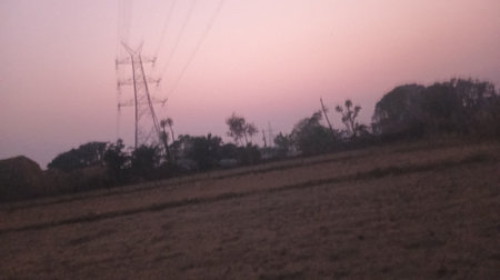 Silhouette of a field with trees and electricity pylonsの素材