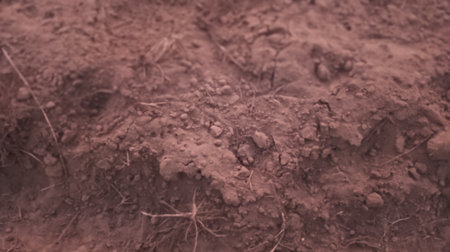 Close up of soil texture. Abstract background. Copy space for text.の素材