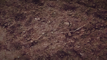 Close-up of soil texture. Natural background. Toned.の写真素材