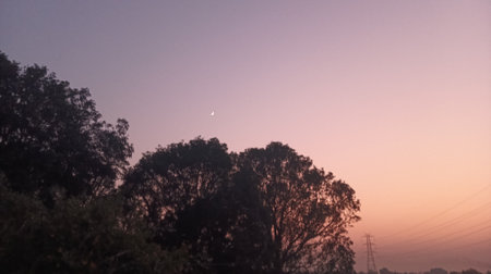 Sunset over the forest in the evening, with the moon in the skyの写真素材