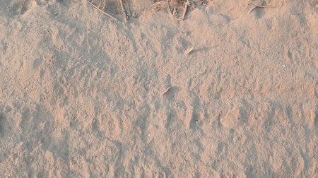 Sand texture background. Sand texture. Sand background. Sand background.の写真素材