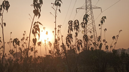 Silhouette of high voltage power line at sunset in morning.