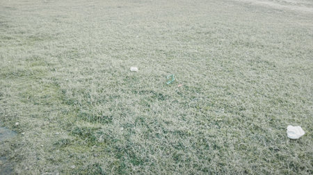 frost on the grass in the morning, closeup of photoの写真素材