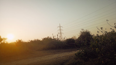 High voltage power lines in the field at sunset. Electricity distribution.の写真素材
