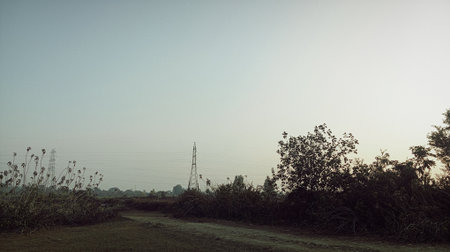 Country road in the countryside with trees and grass in the foreground.