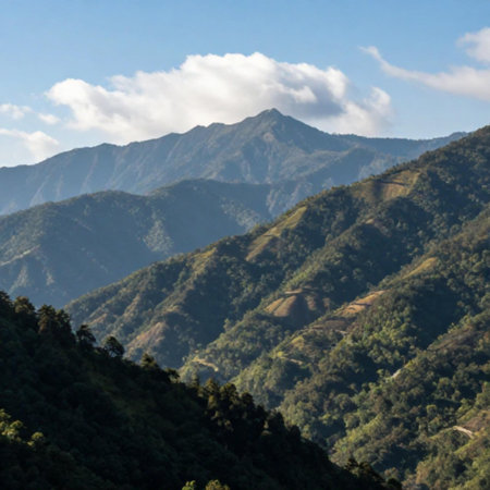 Mountain landscape in south korea,Daejeon\\"\"\""の素材