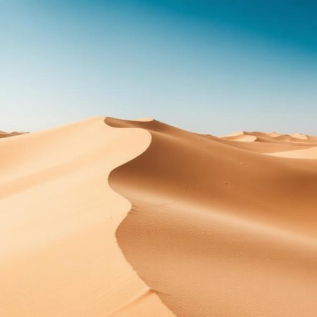 the empty quarter  and outdoor  sand  dune in oman old desert rub al khaliの素材