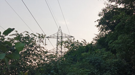 High voltage electric pole in the forest at sunset. Electricity distribution station.