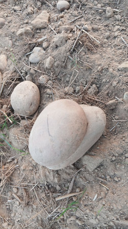 Stones on the ground in the garden, closeup of photo