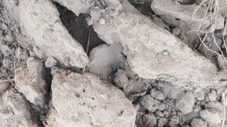 Dry soil texture background. Natural pattern of dry cracked soil.