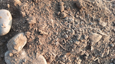 Dry soil texture. Natural background. Close-up shot.