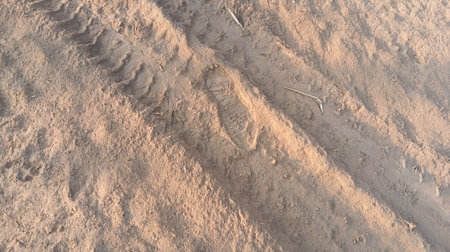 Wheel tracks on the sand in the field, closeup of photo