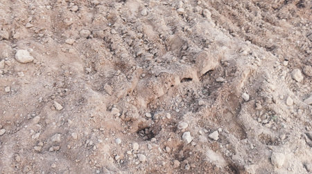 Dry soil texture for background. Close-up of soil texture.