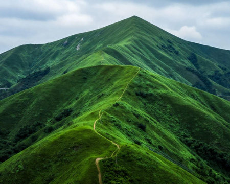 Carpathian mountains. Ukraine. Europe. Beauty world.の素材