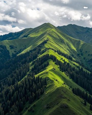 Beautiful mountain landscape in Carpathian mountains. Ukraine, Europe.の素材