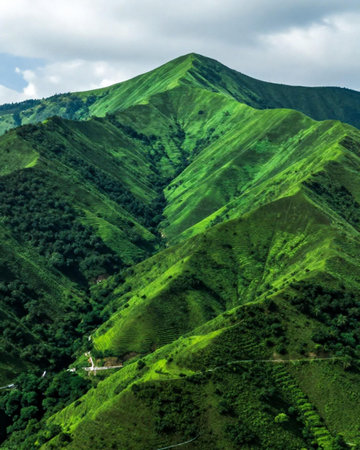 Mountain landscape. Green hills in the mountains under the blue skyの素材