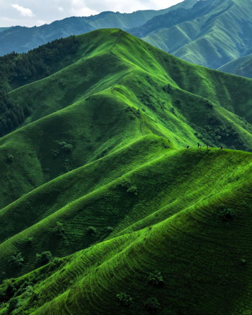 Mountain landscape with green grass and blue sky in the morning.の素材