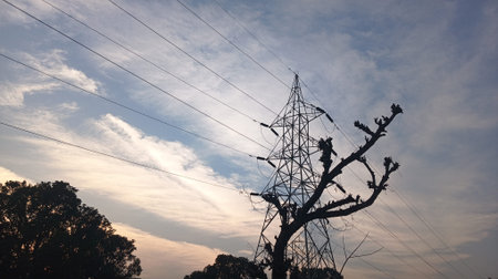Electricity pylons and trees at sunset in the countryside.