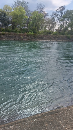 View of the Rhine River in Rheinfall, Germany