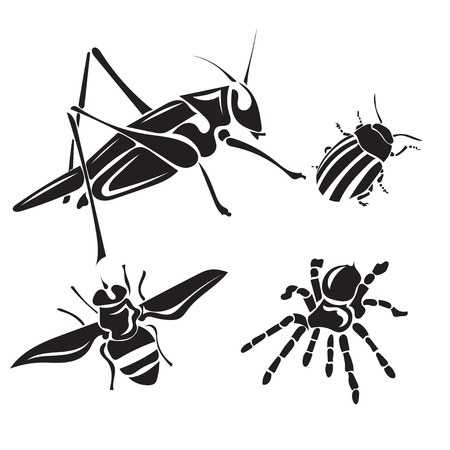 Insect collection - silhouetteのイラスト素材